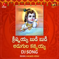 Krishnayya Budi Budi DJ Song Song Lyrics