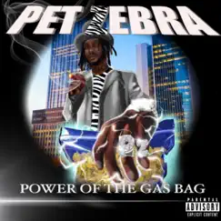 Power of the Gas Bag by Pet Zebra & Bill$up album reviews, ratings, credits