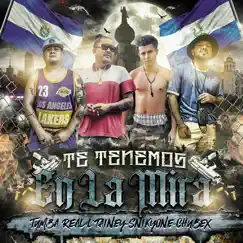 Te Tenemos en la Mira (feat. El Tumba Real, LTainey & Chubex) - Single by SnikyOne LokoPirata album reviews, ratings, credits