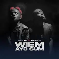 Wiem Ay3 Sum (feat. Tulenkey) Song Lyrics