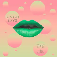 Simon Says Song Lyrics