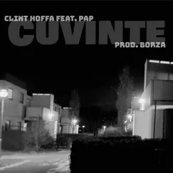 Cuvinte (feat. Pap) Song Lyrics