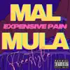 Expensive Pain Freestyle - Single album lyrics, reviews, download