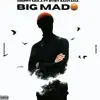Big Mad (feat. Bvby Santana) - Single album lyrics, reviews, download