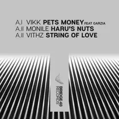 Pets Money (feat. Garzia) (feat. Garzia) Song Lyrics