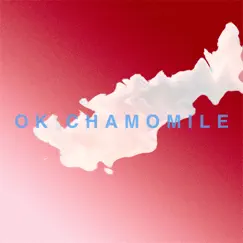 Reflection (Meditation) - Single by OK Chamomile album reviews, ratings, credits