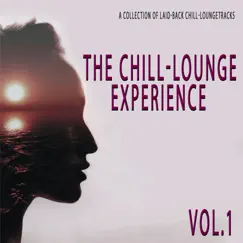 The Chill-lounge Experience, Vol. 1 - A Collection of Laid-back Chill-loungetracks by Various Artists album reviews, ratings, credits