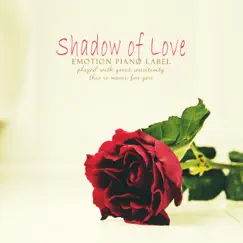 Shadow Of Love Song Lyrics