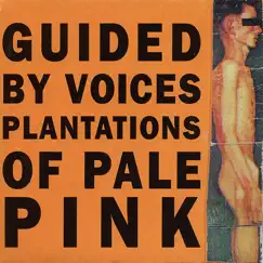 Plantations of Pale Pink - EP by Guided By Voices album reviews, ratings, credits