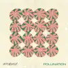 Pollination album lyrics, reviews, download