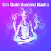 Shiv Shakti Kundalini Mantra - Single album lyrics, reviews, download
