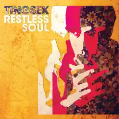 Restless Soul by Tingsek album reviews, ratings, credits