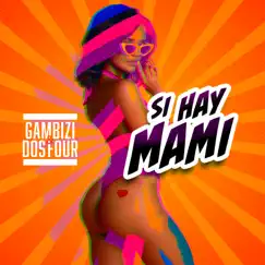 Si Hay Mami - Single by Gambizi & Dos Four album reviews, ratings, credits