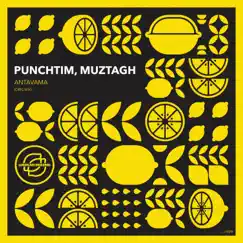 Antavama - Single by PUNCHTIM & Muztagh album reviews, ratings, credits