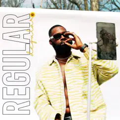 Regular Degular - Single by Demetry Groove album reviews, ratings, credits