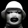 Caminando Sin Rumbo (feat. Gerry Flow) - Single album lyrics, reviews, download