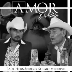 Amor Dividido - Single by Raúl Hernández & Sergio Mendivil album reviews, ratings, credits
