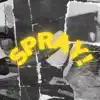 Spray ! - Single album lyrics, reviews, download