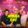 Gosta Do Funky (Arrocha Rave) [Remix] - Single album lyrics, reviews, download