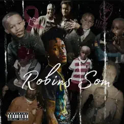 Robin's Son by Draco Jay album reviews, ratings, credits