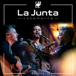 Déjame llegar a ti (feat. Juan Ignacio Molina) [En vivo] Song Lyrics