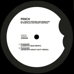 Punisher (Loefah's SE25 Remix) Song Lyrics