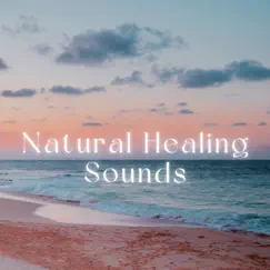 Natural Healing Sounds - For your Sleep and to Help to Focus on your Work by Essence Reliford album reviews, ratings, credits