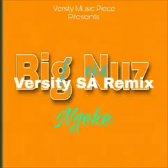 Ngeke (Instrumental Remake) - Single by Versity album reviews, ratings, credits