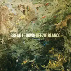Break It Down - Single by Beezie Blanco album reviews, ratings, credits