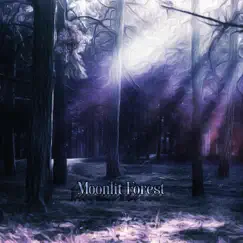 Moonlit Forest by N Skoczylas album reviews, ratings, credits