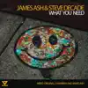 What You Need - Single album lyrics, reviews, download