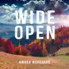 Wide Open (2021 Remix / Remaster) - Single album lyrics, reviews, download