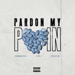 Pardon my Pain (feat. Hoodavel & Big Breezo) [Radio Edit] Song Lyrics