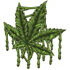 Marijuana - Single by Óz'neil album reviews, ratings, credits