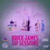SIP SESSIONS: BRICK JAMES (ChopNotSlop Remix) album lyrics, reviews, download