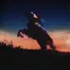 Runaway Mustang - Single album lyrics, reviews, download