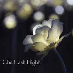 The Last Night - Single by 高山華奈 album reviews, ratings, credits