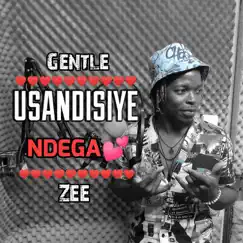 Usandisiye Ndega - Single by Gentle Zee album reviews, ratings, credits