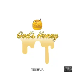 God's Honey - Single by Damien the Architect album reviews, ratings, credits