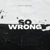 So Wrong (feat. Nahlidge) - Single album lyrics, reviews, download