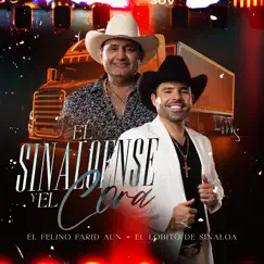 El Sinaloense y el Cora - Single by El Lobito de Sinaloa & EL FELINO FARID AUN album reviews, ratings, credits