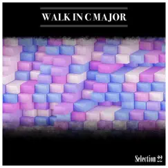 Walk In C Major Selection 22 by Various Artists album reviews, ratings, credits