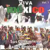 Viva México: Sus Canciones y Bailes Regionales, Vol. 1 album lyrics, reviews, download