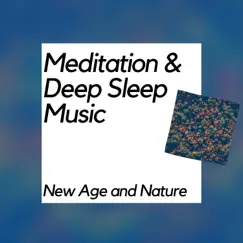 Meditation & Deep Sleep Music (New Age and Nature) by Meditation & Stress Relief Therapy, Meditation Music & Nature Meditation Channel album reviews, ratings, credits