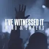 I've Witnessed It (Live) [feat. Drew McElhenny] - Single album lyrics, reviews, download
