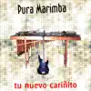 Tu Nuevo Cariñito album lyrics, reviews, download