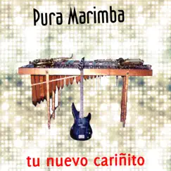 Tu Nuevo Cariñito by Pura Marimba album reviews, ratings, credits