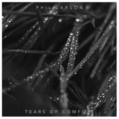 Tears of Comfort - Single by Phil Larson album reviews, ratings, credits