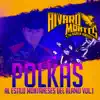 Polkas Al Estilo Montañeses Del Alamo Vol. 1 - Single album lyrics, reviews, download