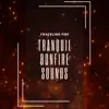 Tranquil Bonfire Sounds album lyrics, reviews, download